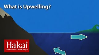 What is Upwelling [upl. by Emmett161]