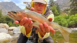 Fly fishing Kings Canyon amp Tenmile 7308624 [upl. by Ahsratal]