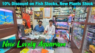 10 Discount on Fishes at New Lovely Aquarium I New Plants Stock [upl. by Dijam884]