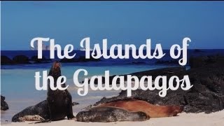 Galapagos Islands Tour [upl. by Nosliw]