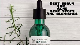 Review The Body Shop Tea Tree Oil Pore Minimiser [upl. by Norrab]