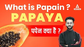 What is Papain पपैन क्या है Papain Extraction from Papaya  Papain Uses Papain Enzyme Agriculture [upl. by Silverman218]