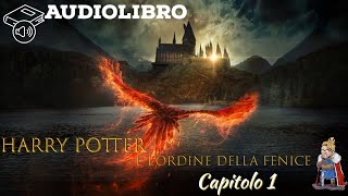 Audiolibro  Harry Potter e lordine della fenice  Lettura e Commento LIVE Cap 1 [upl. by Araas45]