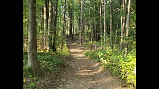 Wasaga Beach Forest Trails Part 3 Sept 14th 2024 [upl. by Aehta]