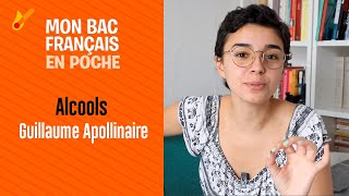 Mon bac français en poche  Alcools de Guillaume Apollinaire [upl. by Notelrahc]