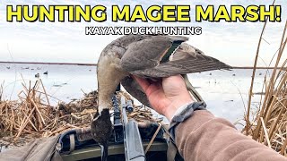 FINALLY Got a Nice PINTAIL  Magee Marsh Duck Hunting [upl. by Lorrac]