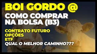 Como comprar arroba de boi na bolsa Contrato futuro opções ou ETF qual o melhor caminho [upl. by Virginia]