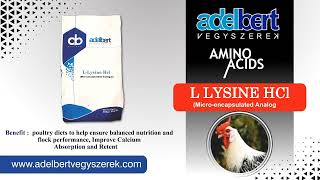 L Lysine HCL Poultry Feed Additive  Livestock Health amp Nutrition Encapsulated Analogue Lysine [upl. by Helaine]