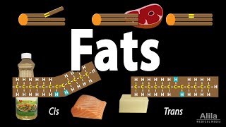 Unsaturated vs Saturated vs Trans Fats Animation [upl. by Nilrem]