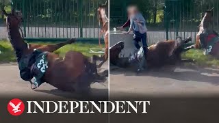 Grand National Woman crushed by two stampeding horses after they veered off course [upl. by Aeslahc]