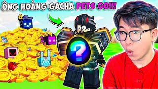 BI HUỲNH 24H CHƠI PETS GO CHẾ ĐỘ PAY TO WIN DÙNG BÌNH 1000000 MAY MẮN VÀ CÁI KẾT 😍 [upl. by Fesoy]