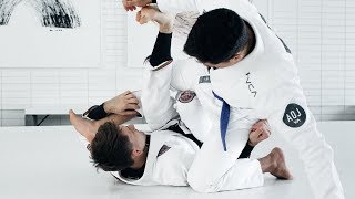 Basic waiter sweep from deep half guard BJJ [upl. by Nelleeus]