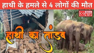 हाथी का तांडव  elephant orgy  cg news  jashpur elephant news  jashpur news  news jashpur [upl. by Ayital]