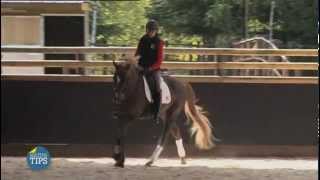 EXTRAIT  Mastertips  Equidia Life [upl. by Jandel28]