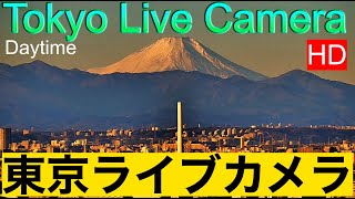 【LIVE】WEST TOKYO LIVE CAMERA MtFuji from Tokyo 西向き東京ライブカメラ 富士山 紅富士 赤富士 東京からの富士山 [upl. by Rovert29]