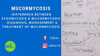 MUCORMYCOSIS  PATHOLOGY [upl. by Sylvan]