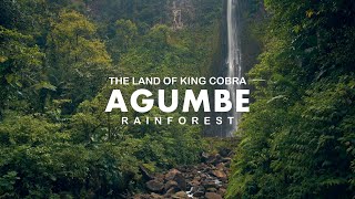 AGUMBE  Land of King Cobra  Malgudi Days Shooting Spot  Agumbe Tourist Places  Rainforest ASMR [upl. by Eiralc189]