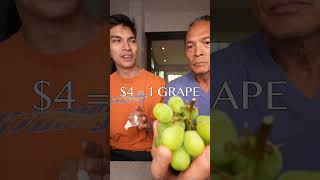 the worlds most expensive grapes🍇 [upl. by Lerret]