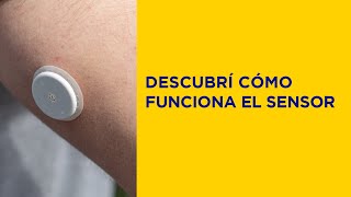 🇨🇷 ¿Cómo usar FreeStyle Libre  Descubrí cómo funciona el sensor [upl. by Aracat]