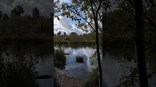 Sammamish River at Marymoor Park Redmond [upl. by Eelesor]