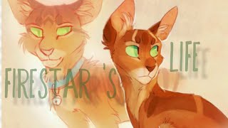 Firestar s Life  Warriors  In the name of love [upl. by Leoj128]