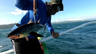 quotTambakolquot or Blue Fin Tuna Catch during Strong Amihan  Handline Fishing [upl. by Viens]