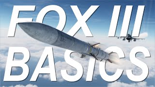 DCS F16 FOX 3 BASICS RWSTWS [upl. by Nevyar624]