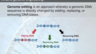 Rapid engineering of cell models with CRISPRCas9 technology [upl. by Clementas]