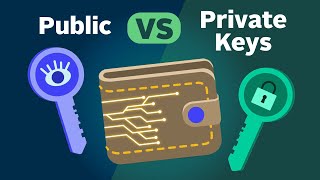 How Public and Private Key Work In Your Crypto Wallets [upl. by Assylla417]