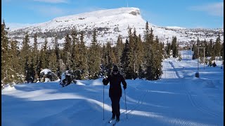 Vakantie naar Noorwegen in de winter Skiën en langlaufen als een beginner in Noorwegen [upl. by Nnawtna]