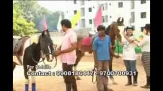 HYDERABAD HORSE RIDING SCHOOL  DOCUMENTARY  RUBY NEWS CHANNEL [upl. by Vena978]