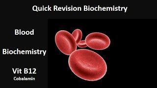 Vit B12  cobalamin  quick revision  Biochemistry  Blood module  Adham Saleh [upl. by Eleinad]