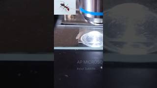 AP MICROSCOPE 52microscope microccopvideohowtomicroscopvideo [upl. by Utter]