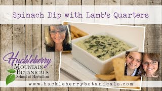 Spinach Dip with Lambs Quarters [upl. by Leirrad]