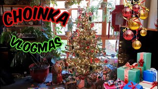 VLOGMAS  UBIERAM CHOINKĘ [upl. by Annaeirb]