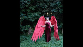 XXL movable Red wingsKeigo TakamiHawks from My Hero Academia Cosplay wings by LuxuryWingsnet [upl. by Ydnes]