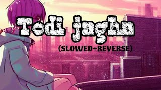 TODI JAGHA SLOWEDREVERSE  presented by lofi world175 [upl. by Anirt]