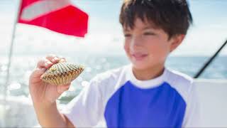 Scallop season open on July 10 get ready for fun catching and meals Get gears from local stores [upl. by Lowrie]