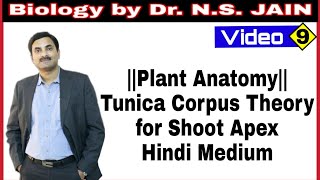 Tunica Corpus Theory for Shoot Apex Plant Anatomy  Hindi Medium [upl. by Keligot]