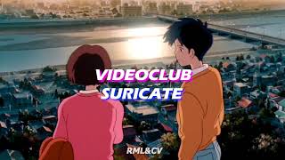 VIDEOCLUB Suricate  Letra en Español Paroles [upl. by Aronel412]