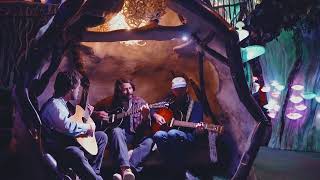 Bendigo Fletcher  Plaster Moon Live at Meow Wolf Santa Fe [upl. by Afaw834]