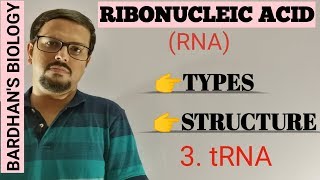 RNA types structure amp function 3tRNA Transfer RNA [upl. by Bryon]