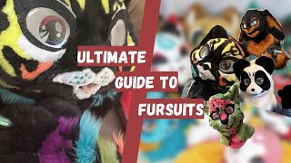 The ULTIMATE in depth guide to Fursuits  All different types of fursuits  Fursuit styles explained [upl. by Meehar]