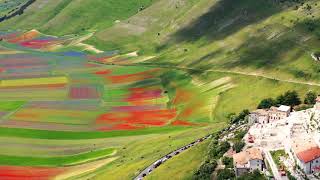 FIORITURA 2020 CASTELLUCCIO DI NORCIA4K [upl. by Hgielah]