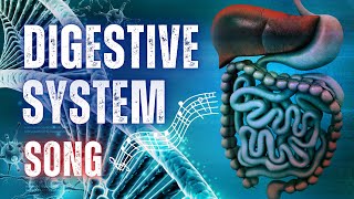 The Digestive System Song with Lyrics [upl. by Suanne]