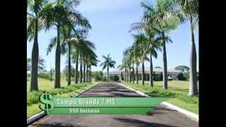 FAZENDA À VENDA EM CAMPO GRANDE  MS COM 550 HECTARES [upl. by Arhsub]