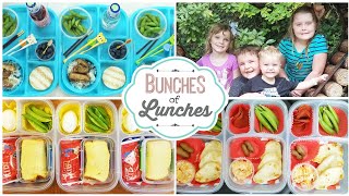 AMAZING Traveling Lunches 😎 Bunches of Lunches [upl. by Aihsetan]