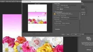 Tips To Print Actual Colors In Adobe Photoshop Printing [upl. by Lyssa]