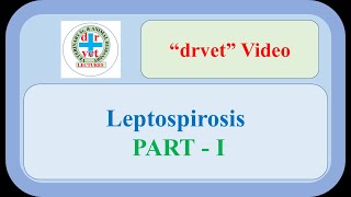 Leptospirosis Part 1 [upl. by Jovi]