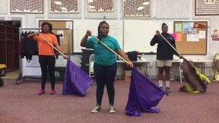 Northview High School Colorguard 201718 audition [upl. by Hintze435]